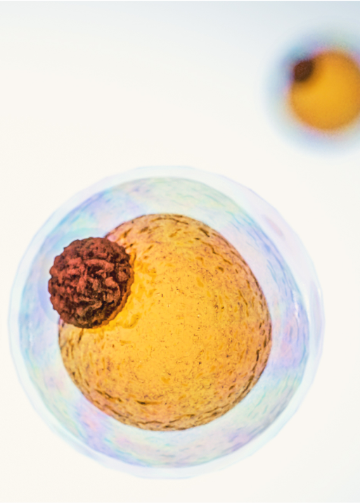 a yellow and brown object with a brown ball in the middle